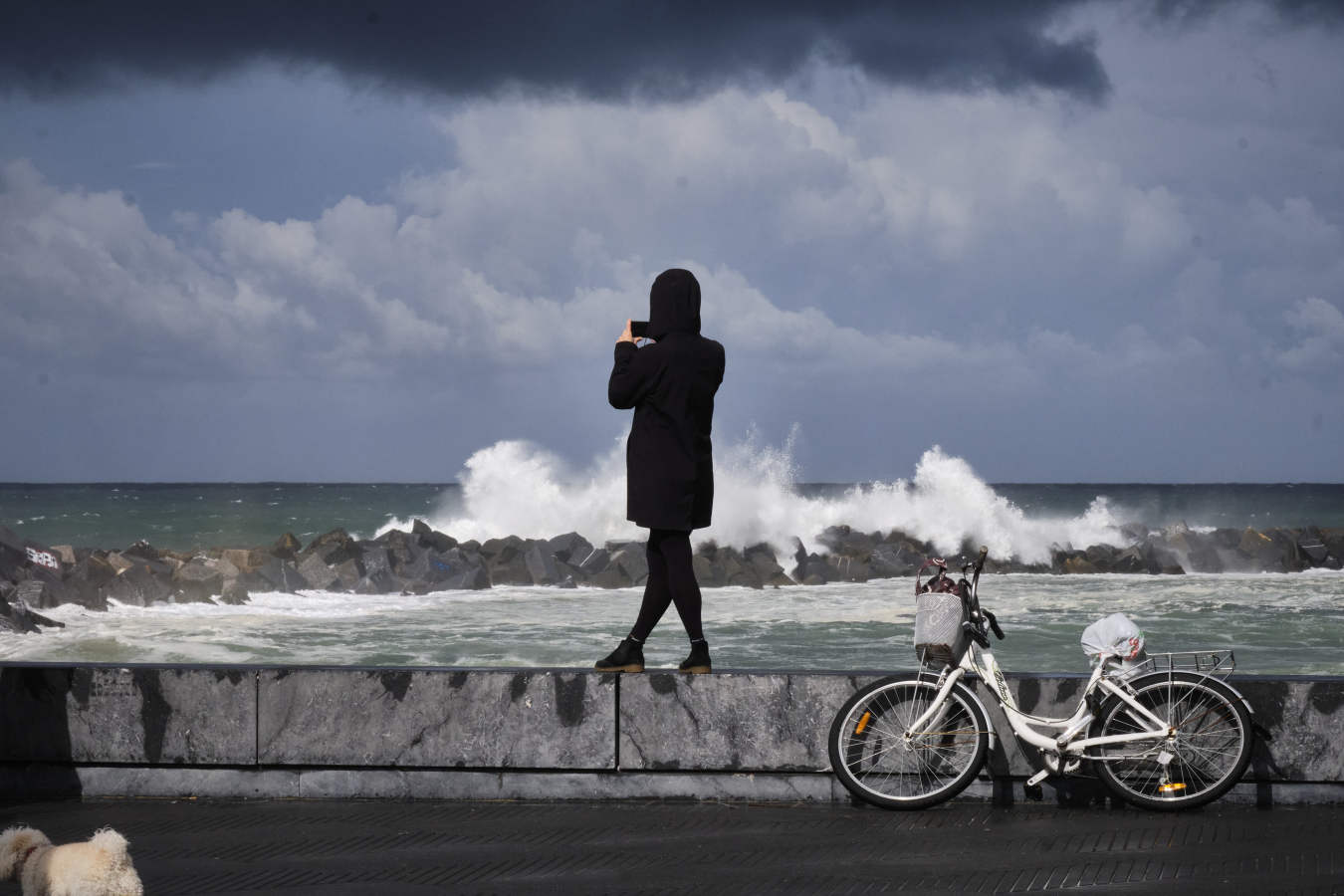 En San Sebastián, las olas han vuelto a realizar un espectáculo y muchos donostiarras se han acercado a verlas desde la primera fila