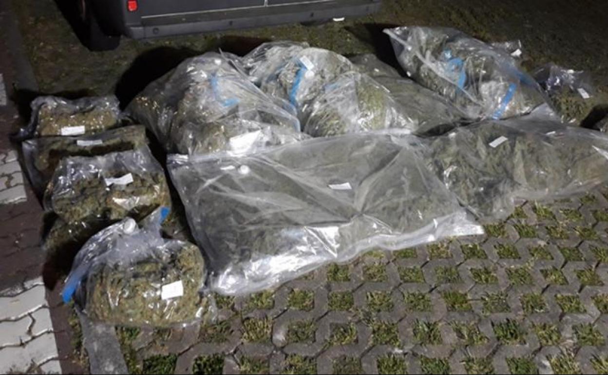 Una nave de 13.500 plantas de marihuana con cámaras de vigilancia y personal armado