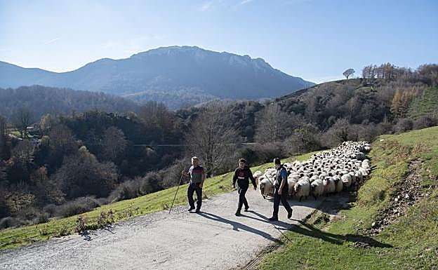 Mikel Etxezarreta con Asier y Julen. Al fondo, el monte Aratz.