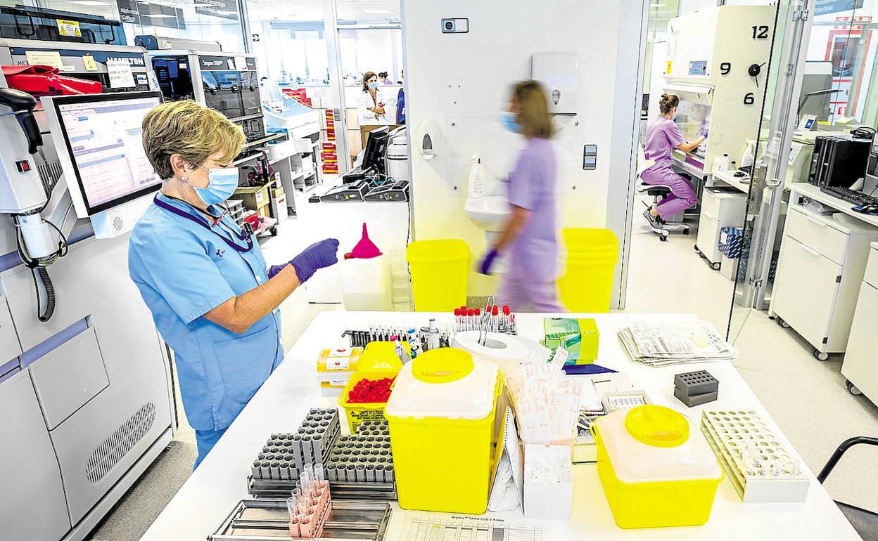 Laboratorio donde se realizan los analisis PCR. 
