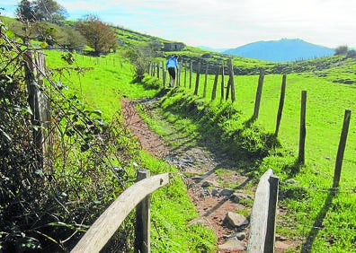 Imagen secundaria 1 - Arriba: Unas vacas pastan en un prado cercano al camino a Uzturre. Debajo Ibarra y al fondo, Txindoki. A la izquierda: A diario decenas de personas se acercan hasta la cruz de la cima de Ibarra. A la derecha: Buzón de Uzturre situado junto al punto más alto de este monte.