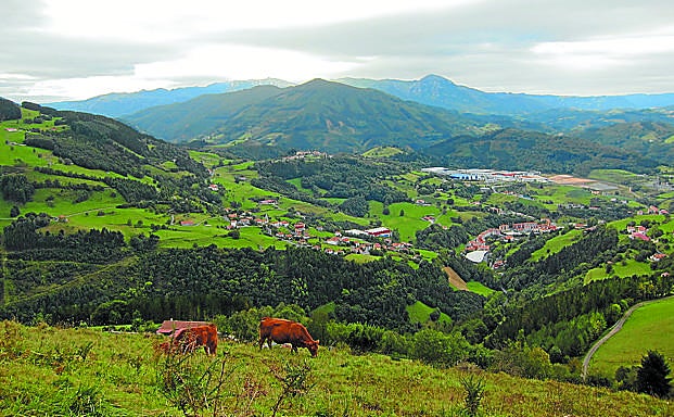 Imagen principal - Arriba: Unas vacas pastan en un prado cercano al camino a Uzturre. Debajo Ibarra y al fondo, Txindoki. A la izquierda: A diario decenas de personas se acercan hasta la cruz de la cima de Ibarra. A la derecha: Buzón de Uzturre situado junto al punto más alto de este monte.