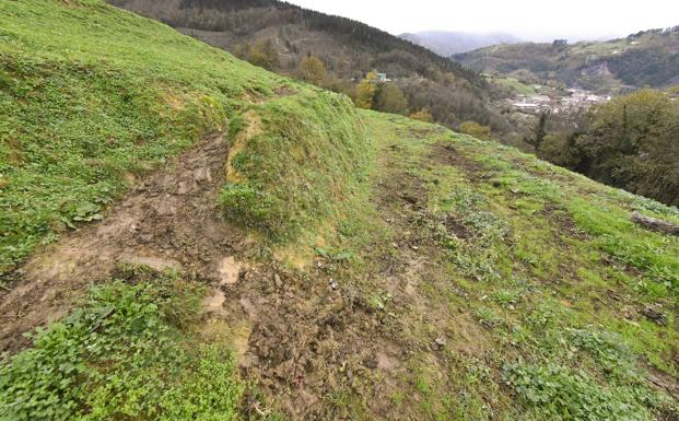 Marcas de jabalíes en un terreno de Legorreta.