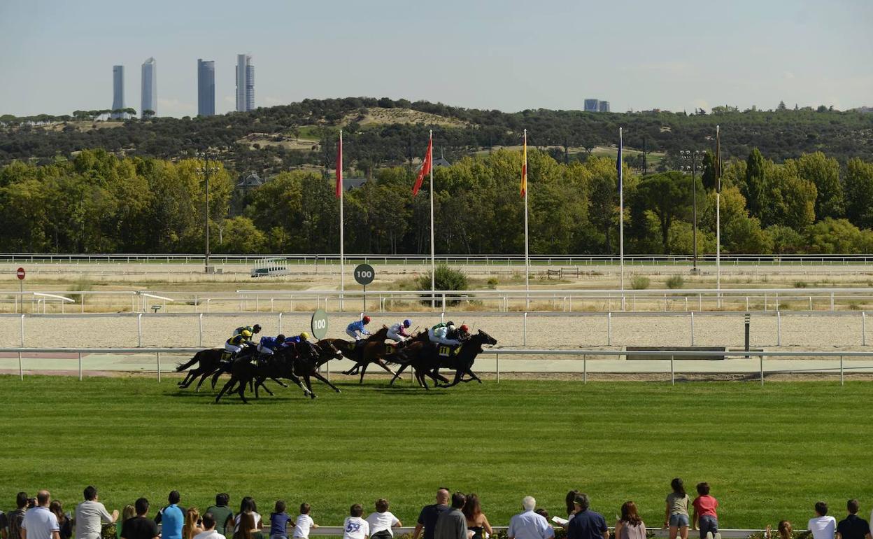 El Gladiateur confirma a 'Emin' como mejor stayer del país