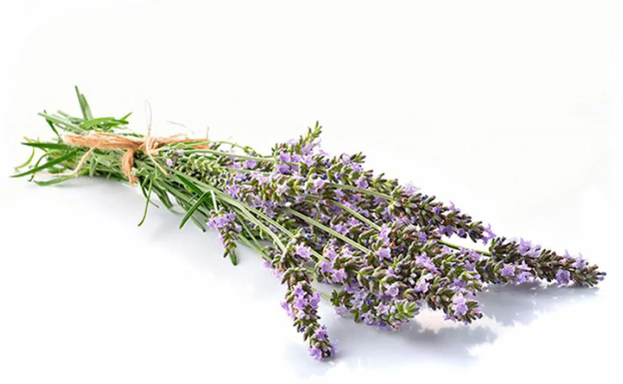 Cómo usar lavanda en tus recetas de cocina | El Diario Vasco