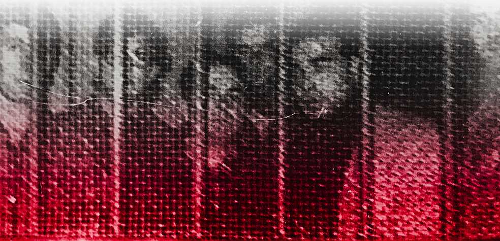 El proceso de Burgos: Acusados, abogados, historiadores... testimonios de la semana más larga y tensa de 1970