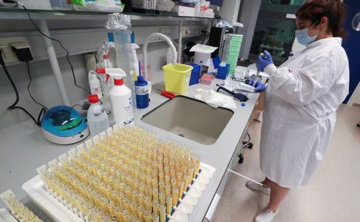 Covid-19: Gipuzkoa sigue ganando la batalla al coronavirus con 106 contagios en las últimas 24 horas