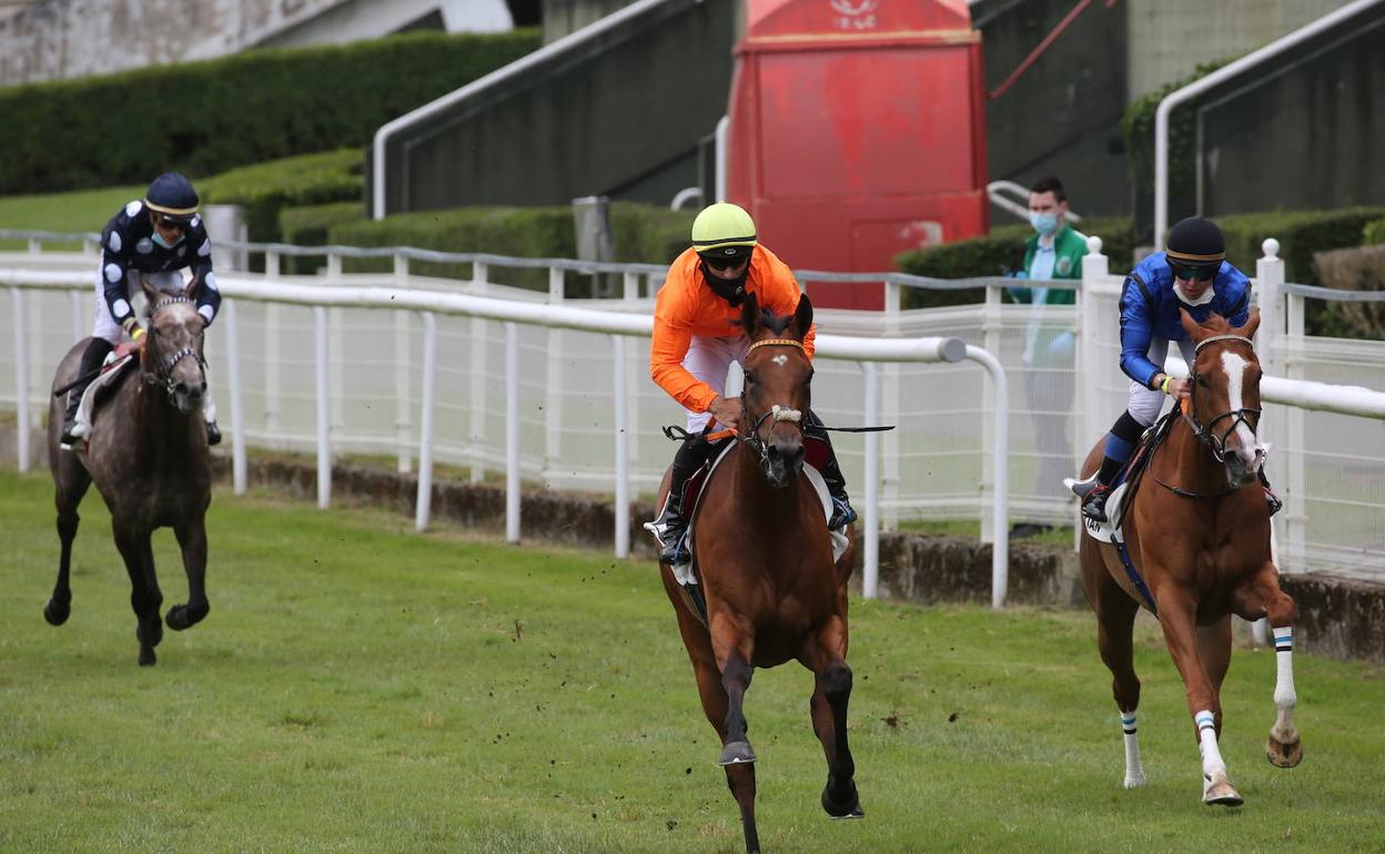 La yegua 'Soupha', en el hipódromo de San Sebastián. 