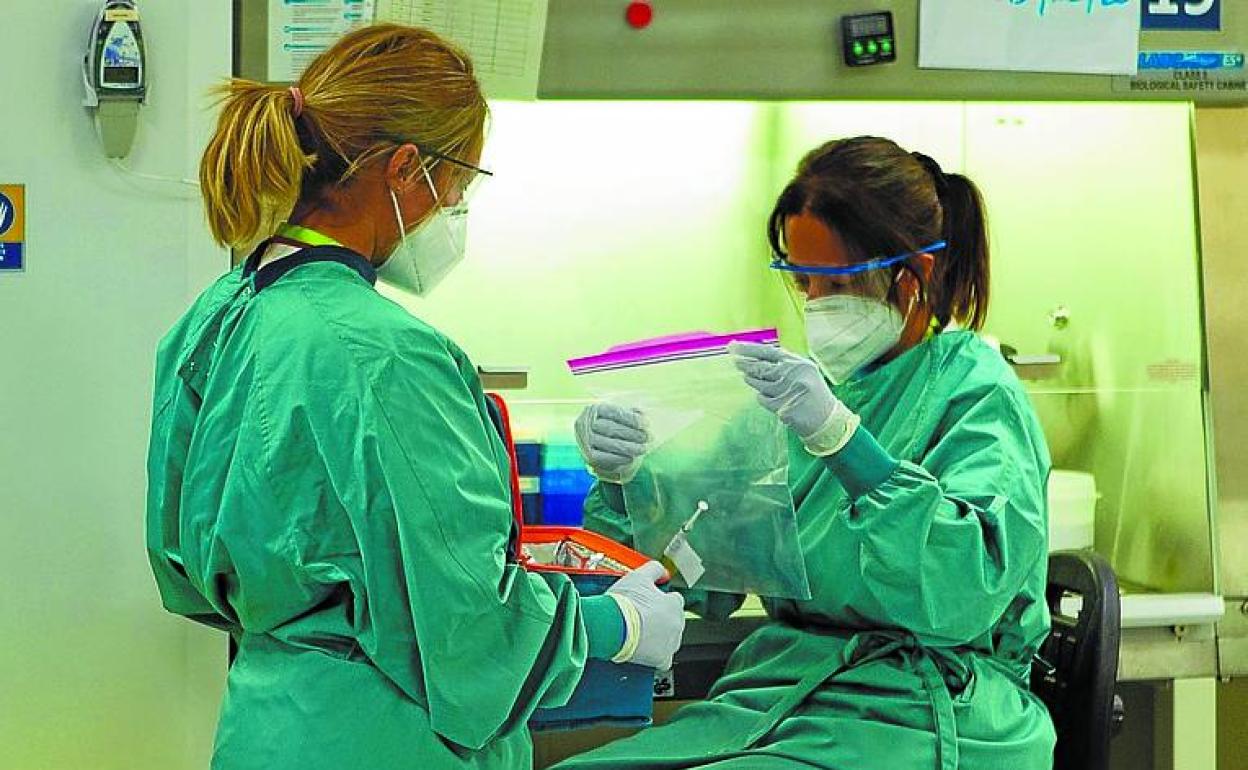 os sanitarias en un laboratorio. 