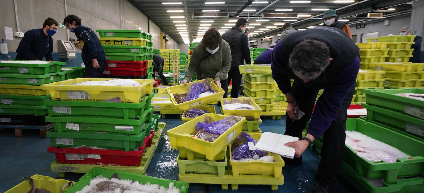 La lonja de Pasaia confirma que la Navidad será distinta, al detectarse en los encargos que las celebraciones van a ser de menos personas. Armadores, vendedores, mayoristas y minoristas trabajan estos días sin descanso para que ninguna familia o establecimiento hostelero se quede estas Navidades sin pescado fresco.