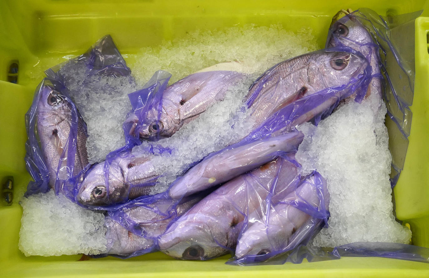 La lonja de Pasaia confirma que la Navidad será distinta, al detectarse en los encargos que las celebraciones van a ser de menos personas. Armadores, vendedores, mayoristas y minoristas trabajan estos días sin descanso para que ninguna familia o establecimiento hostelero se quede estas Navidades sin pescado fresco.