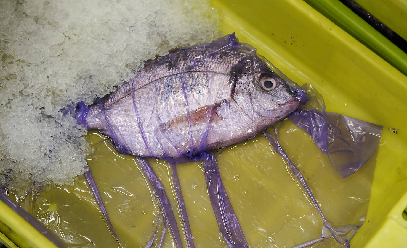 La lonja de Pasaia confirma que la Navidad será distinta, al detectarse en los encargos que las celebraciones van a ser de menos personas. Armadores, vendedores, mayoristas y minoristas trabajan estos días sin descanso para que ninguna familia o establecimiento hostelero se quede estas Navidades sin pescado fresco.