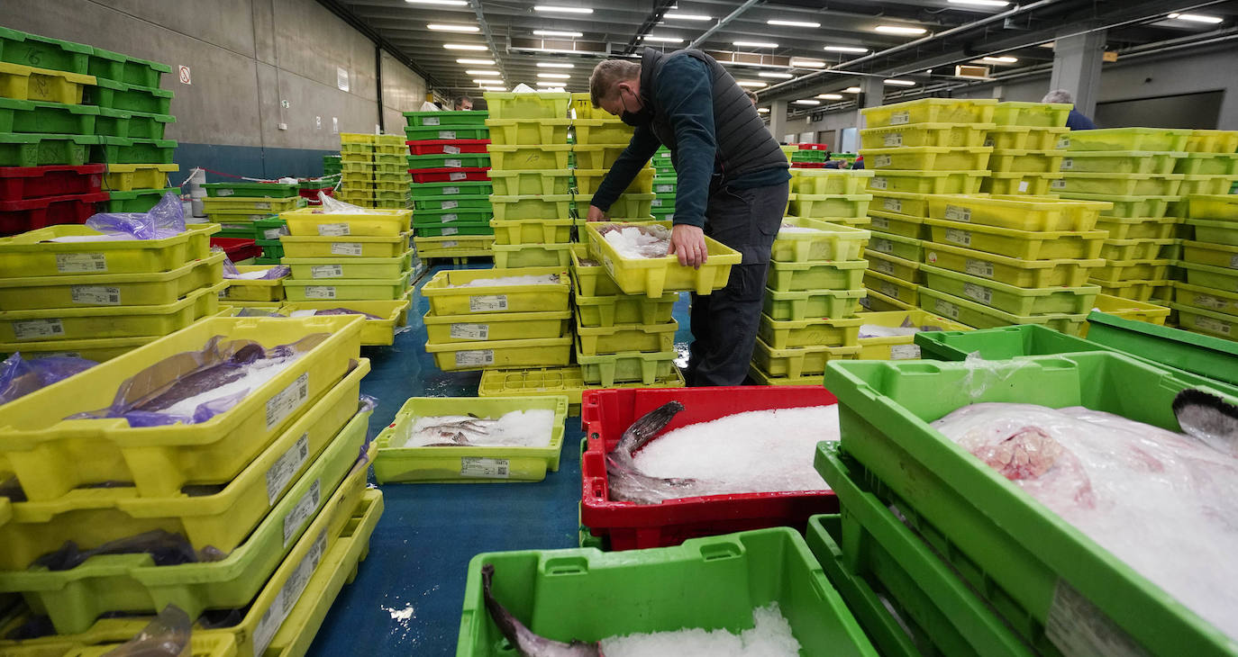 La lonja de Pasaia confirma que la Navidad será distinta, al detectarse en los encargos que las celebraciones van a ser de menos personas. Armadores, vendedores, mayoristas y minoristas trabajan estos días sin descanso para que ninguna familia o establecimiento hostelero se quede estas Navidades sin pescado fresco.