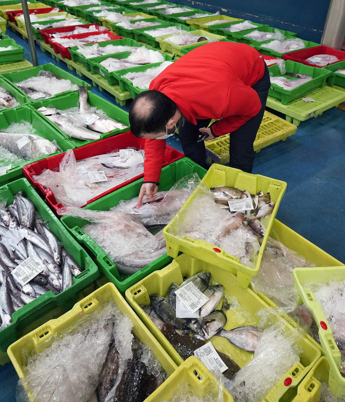 La lonja de Pasaia confirma que la Navidad será distinta, al detectarse en los encargos que las celebraciones van a ser de menos personas. Armadores, vendedores, mayoristas y minoristas trabajan estos días sin descanso para que ninguna familia o establecimiento hostelero se quede estas Navidades sin pescado fresco.