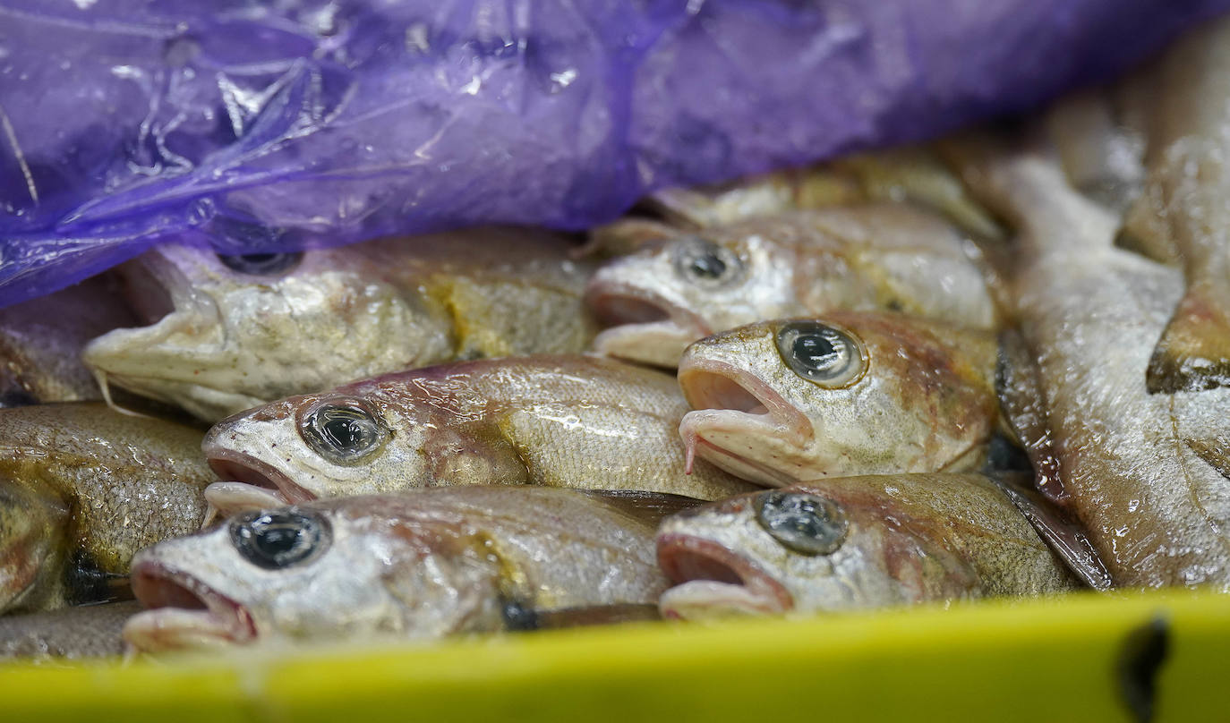 La lonja de Pasaia confirma que la Navidad será distinta, al detectarse en los encargos que las celebraciones van a ser de menos personas. Armadores, vendedores, mayoristas y minoristas trabajan estos días sin descanso para que ninguna familia o establecimiento hostelero se quede estas Navidades sin pescado fresco.