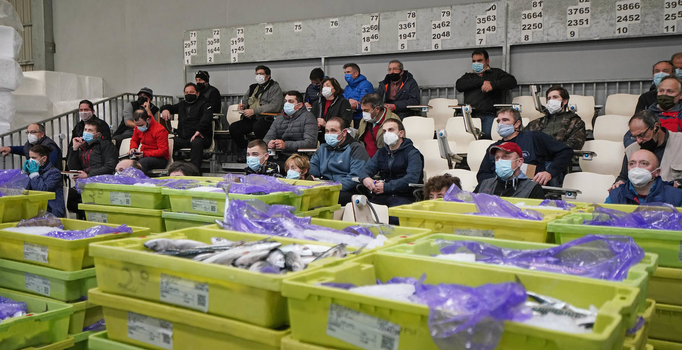 La lonja de Pasaia confirma que la Navidad será distinta, al detectarse en los encargos que las celebraciones van a ser de menos personas. Armadores, vendedores, mayoristas y minoristas trabajan estos días sin descanso para que ninguna familia o establecimiento hostelero se quede estas Navidades sin pescado fresco.