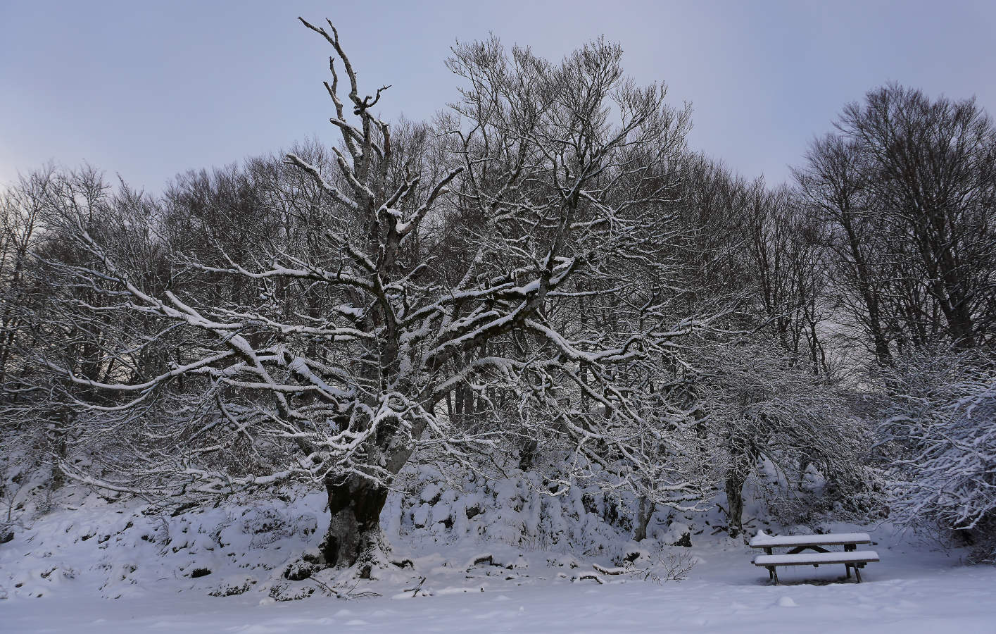 También durante todo el lunes se establecerá el aviso amarillo por nieve, ya que se espera que de madrugada la cota de nieve baje de los 1.000 a los 700 o los 800 meros, auque ocasionalmente puede llegar a 600 metros en áreas de tormenta. A partir del mediodía la cota de nieve podría situarse en el entorno de 800 a 1.000 metros.