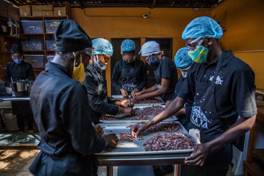 Aunque pequeño frente a los gigantes de América del Sur, Haití está desarrollando lentamente su industria del cacao para garantizar mejores ingresos a miles de agricultores modestos y acabar con el estereotipo del arte gastronómico conocido como el dominio de los países ricos. 
