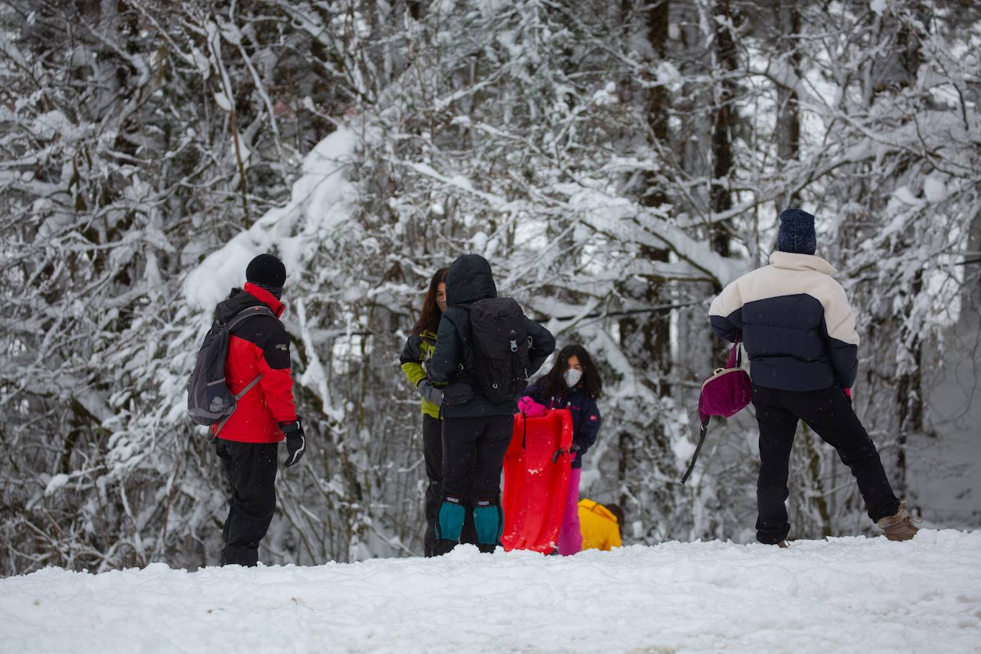 Decenas de personas han disfrutado este domingo en la nieve en el Alto de Etzegarate, en el término de Idiazabal.