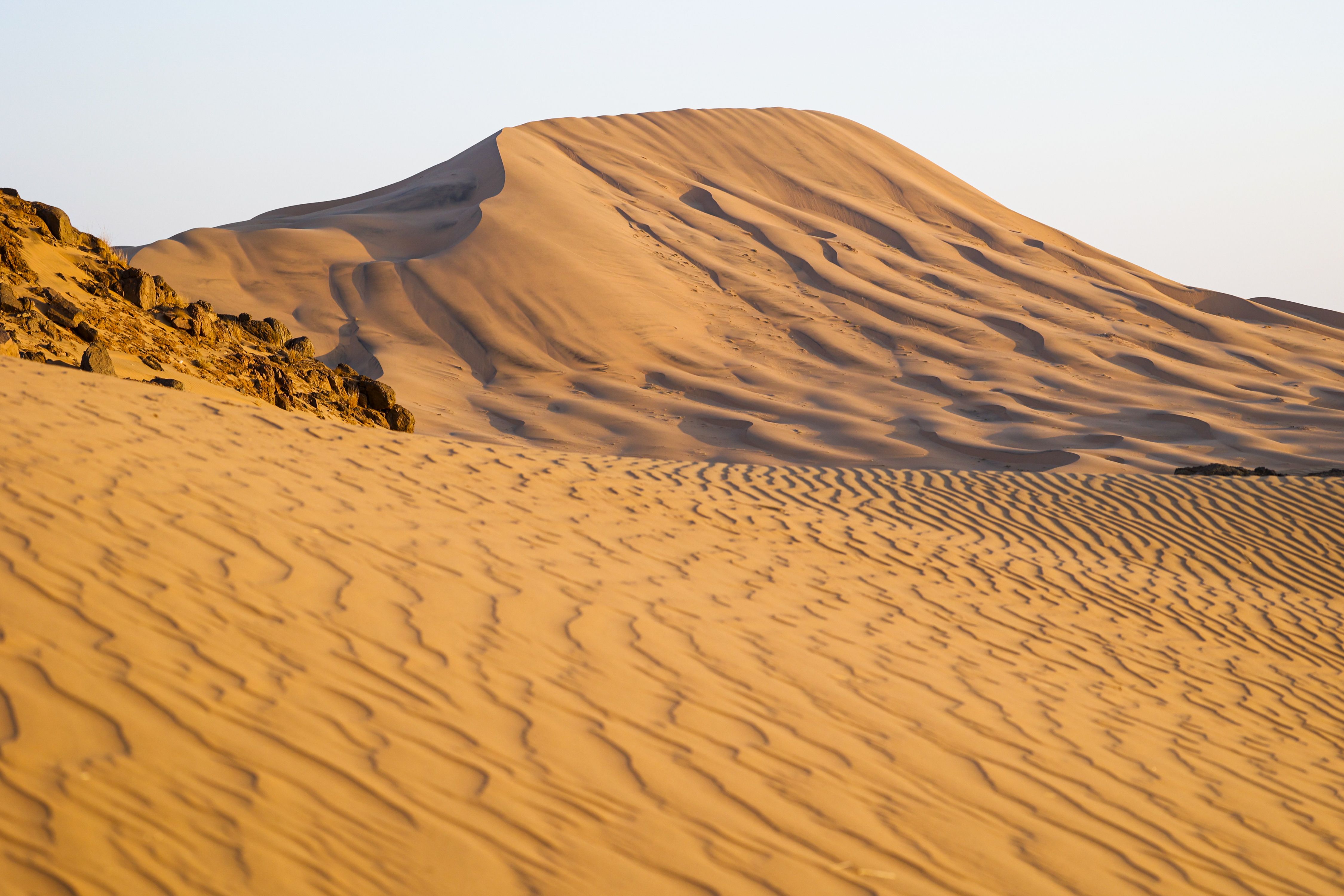 El Rally Dakar, en imágenes.