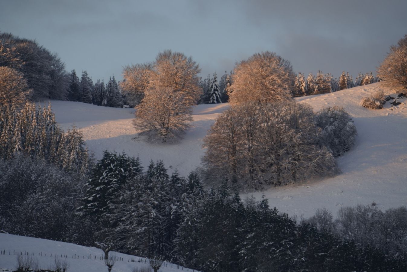 Los termómetros han marcado mínimas por debajo de los cero grados en buena parte de Gipuzkoa. La mínima la ha vuelto a marcar esta pasada madrugada Berastegi con -7,1 grados