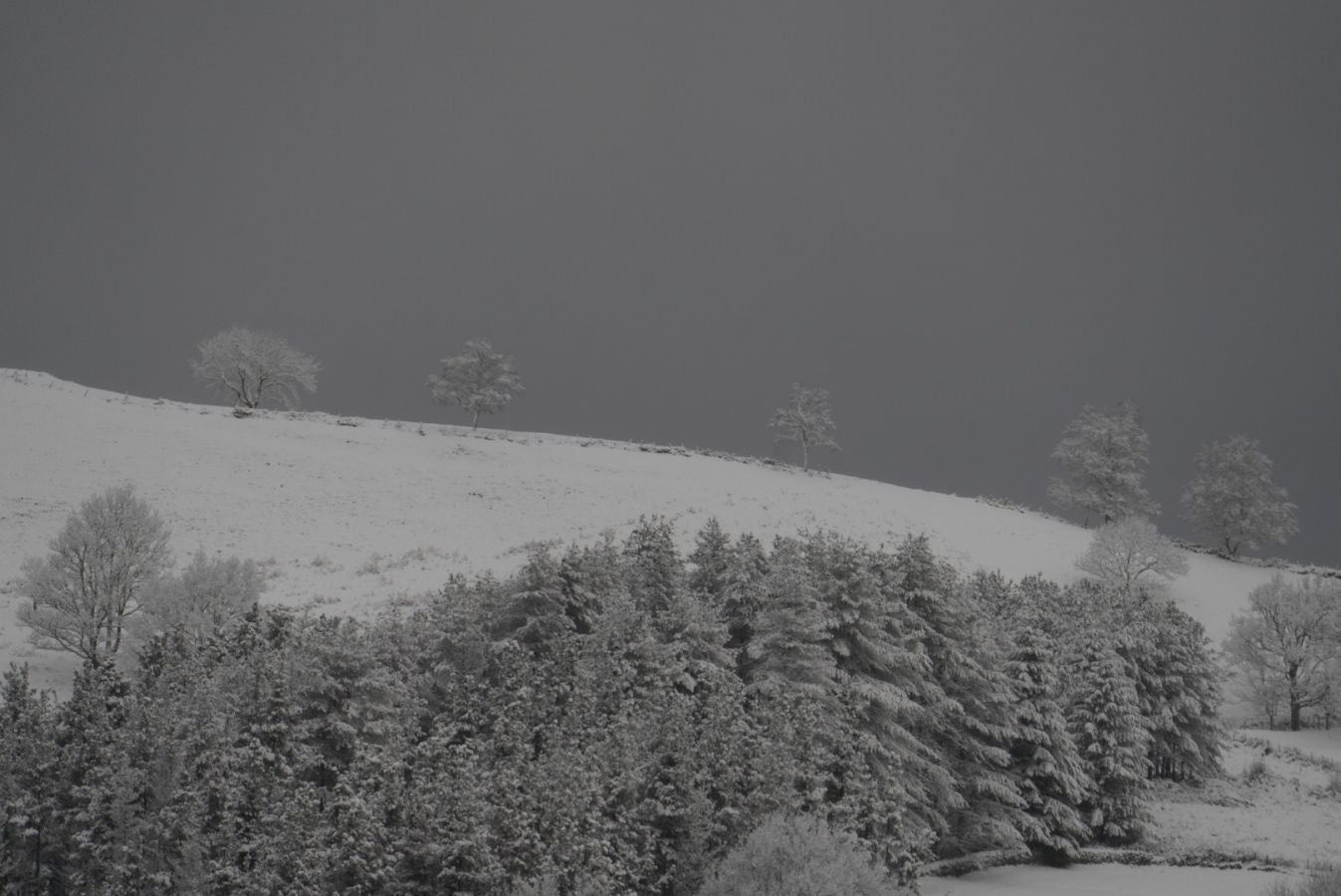 Los termómetros han marcado mínimas por debajo de los cero grados en buena parte de Gipuzkoa. La mínima la ha vuelto a marcar esta pasada madrugada Berastegi con -7,1 grados