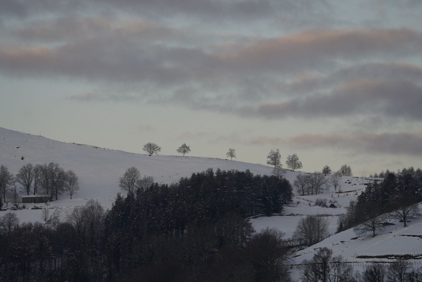 Los termómetros han marcado mínimas por debajo de los cero grados en buena parte de Gipuzkoa. La mínima la ha vuelto a marcar esta pasada madrugada Berastegi con -7,1 grados