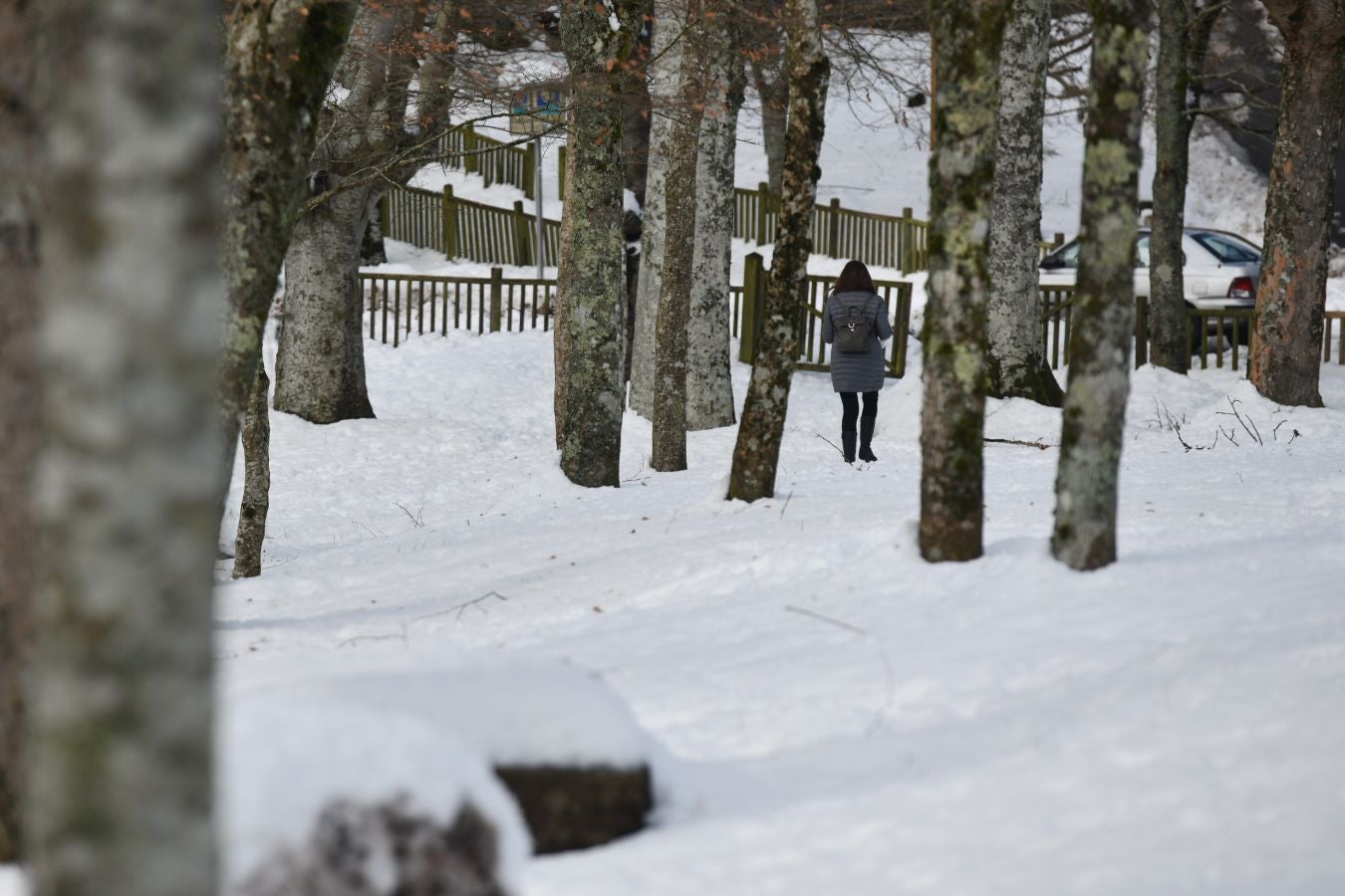 La nieve está adquiriendo importarntes grosores en algunas cumbres guipuzcoanas, como en Arrate.