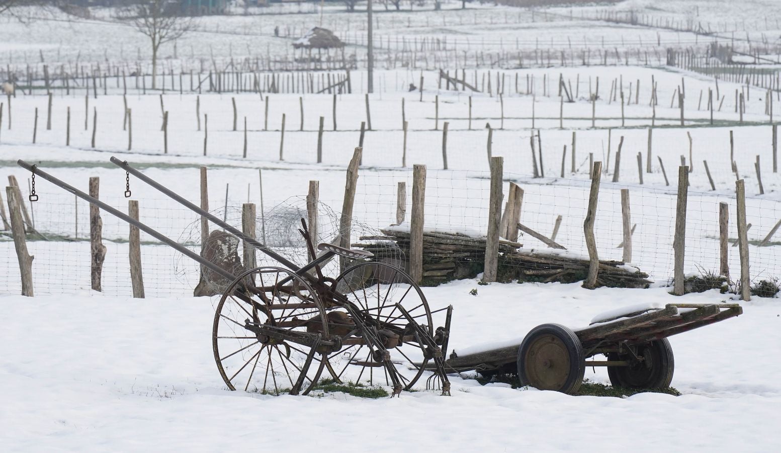 Gipuzkoa de nuevo ha amanecido este viernes bajo un manto de hielo. Las temperaturas se han quedado por debajo de los cero grados en buena parte del territorio