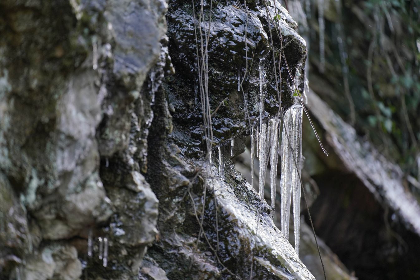 Gipuzkoa de nuevo ha amanecido este viernes bajo un manto de hielo. Las temperaturas se han quedado por debajo de los cero grados en buena parte del territorio