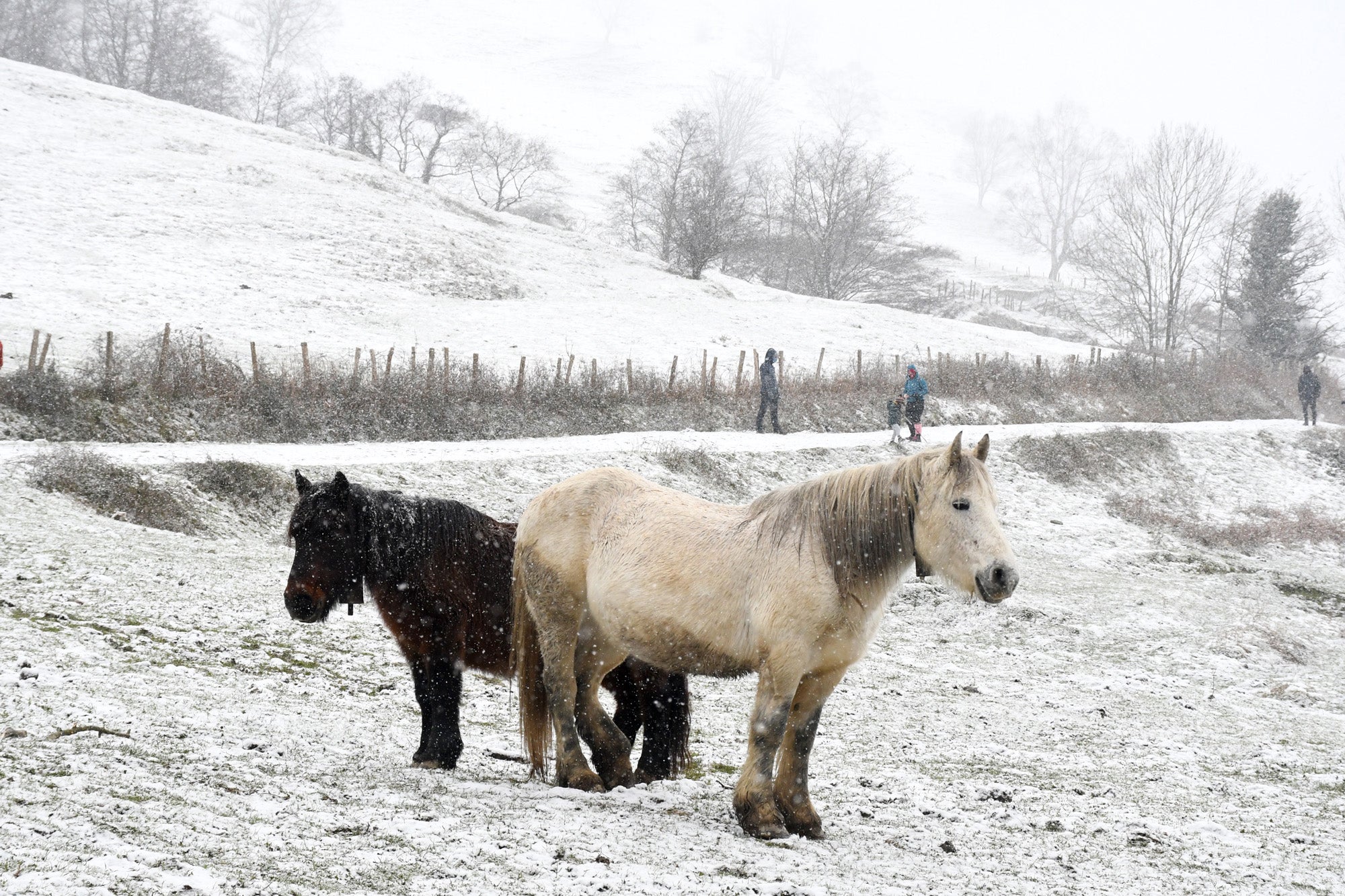 Los copos de nieve cubren las localidades de mayor altitud del territorio