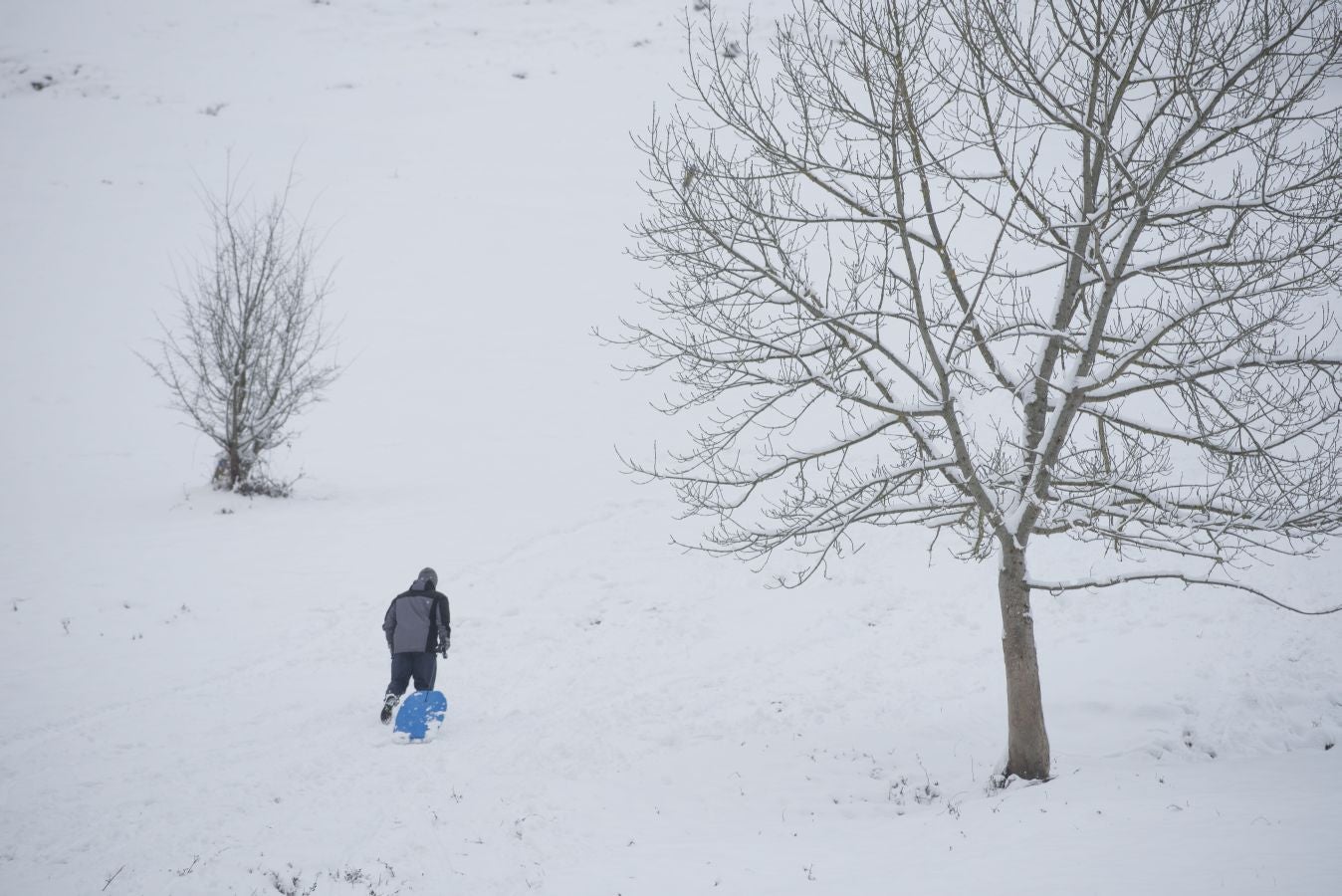 Multitud de personas han disfrutado de la nieve en puntos como el monte Uzturre, Larraiz, el alto de Arrate o la ermita de La Antigua.