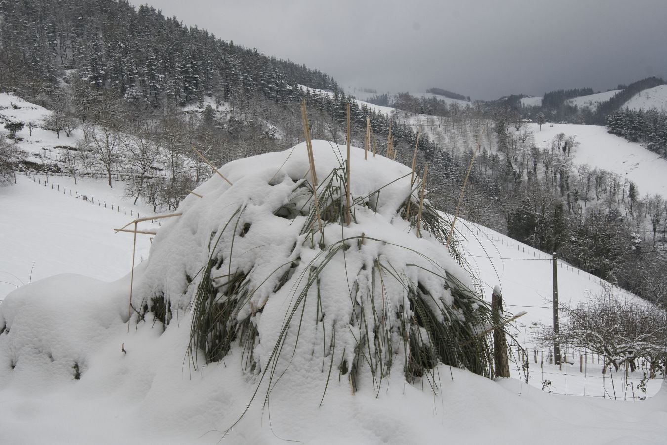 Multitud de personas han disfrutado de la nieve en puntos como el monte Uzturre, Larraiz, el alto de Arrate o la ermita de La Antigua.
