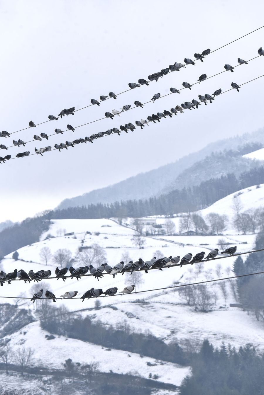 Multitud de personas han disfrutado de la nieve en puntos como el monte Uzturre, Larraiz, el alto de Arrate o la ermita de La Antigua.