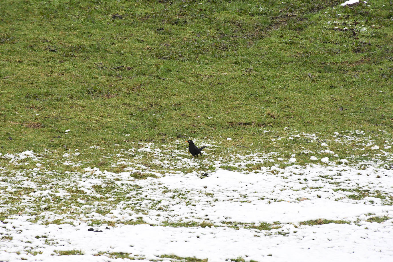 Multitud de personas han disfrutado de la nieve en puntos como el monte Uzturre, Larraiz, el alto de Arrate o la ermita de La Antigua. También se han teñido de blanco los pueblos de Albiztur, Gaztelu, Izaskun, Alkiza y Leaburu.