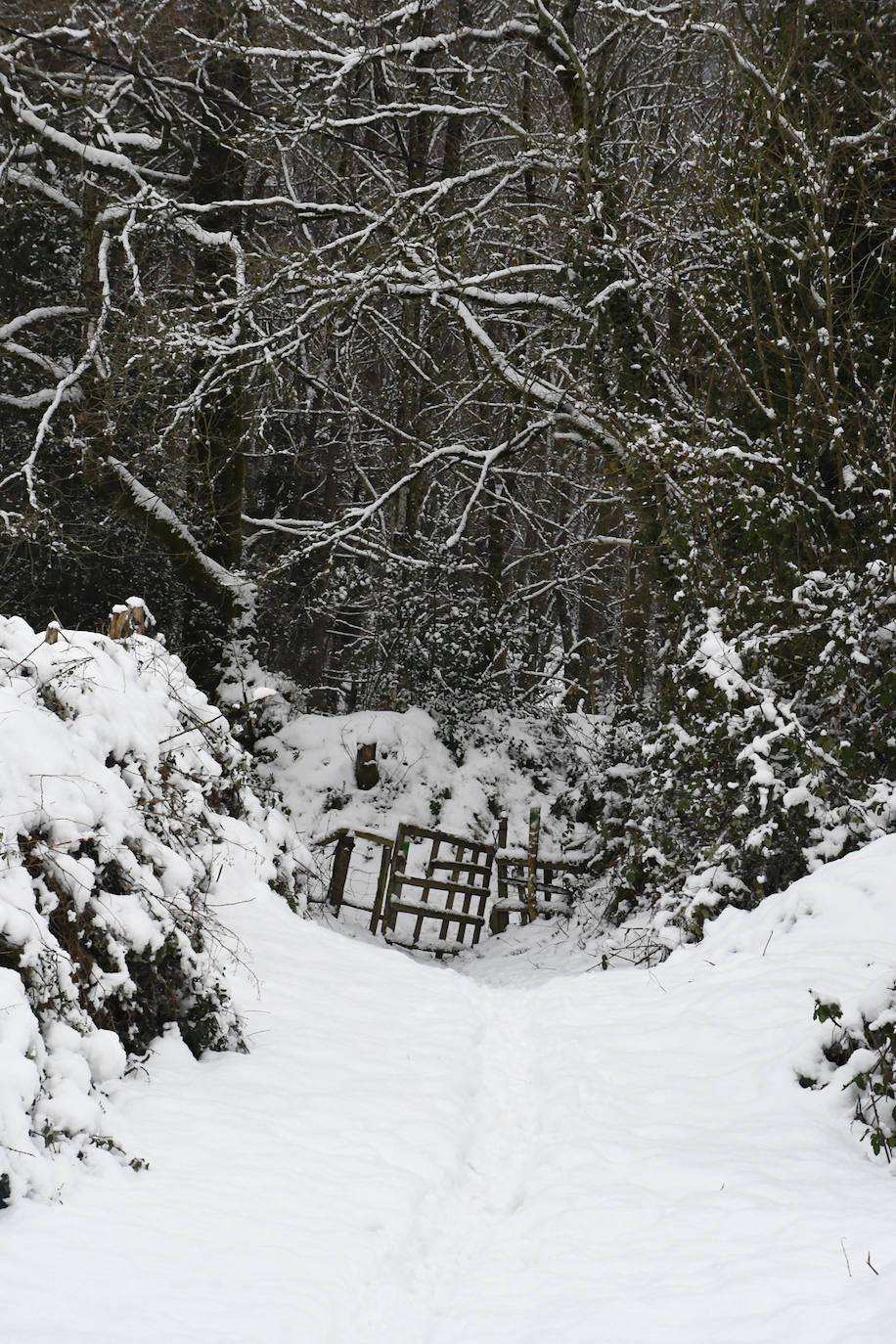 Multitud de personas han disfrutado de la nieve en puntos como el monte Uzturre, Larraiz, el alto de Arrate o la ermita de La Antigua. También se han teñido de blanco los pueblos de Albiztur, Gaztelu, Izaskun, Alkiza y Leaburu.