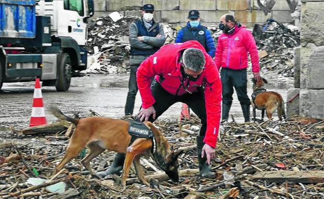 Agentes de la Unidad Canina con perros rastrean los residuos recogidos en varias playas en un vertedero de Getxo.