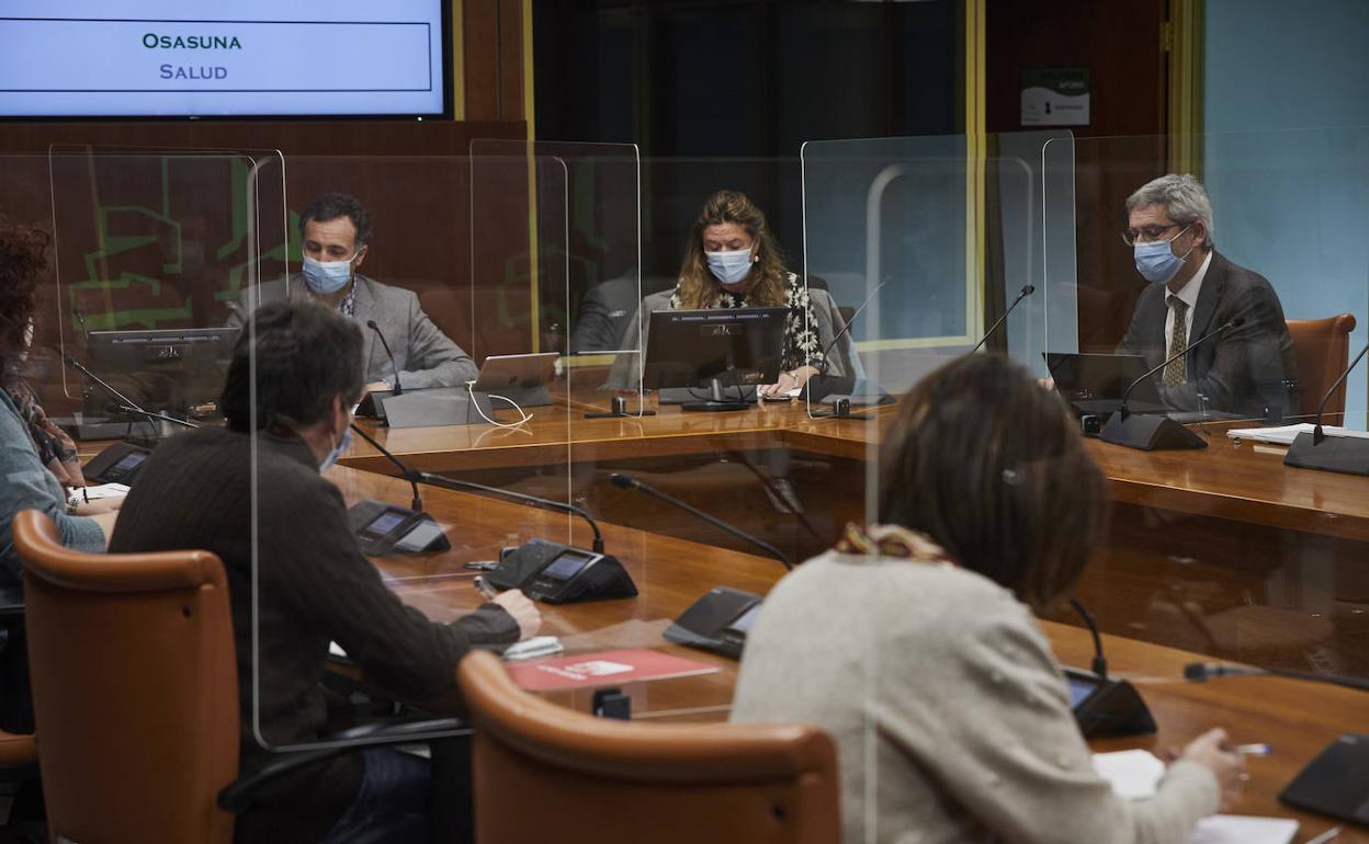 Sagardui durante la comparecencia de este miércoles en el Parlamento Vasco.