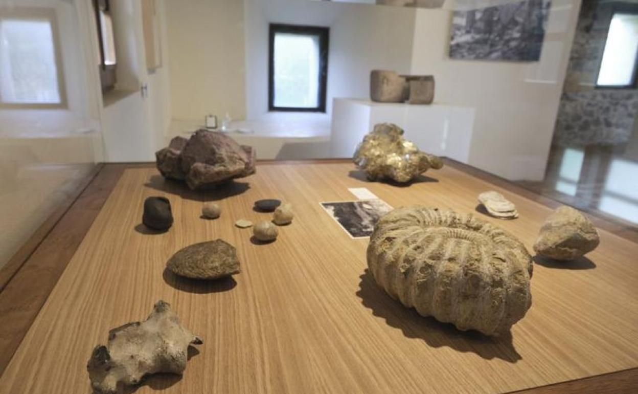 Los fósiles son uno de los tesoros de la familia Chillida, buscados con ahínco y admirados por todos ellos.