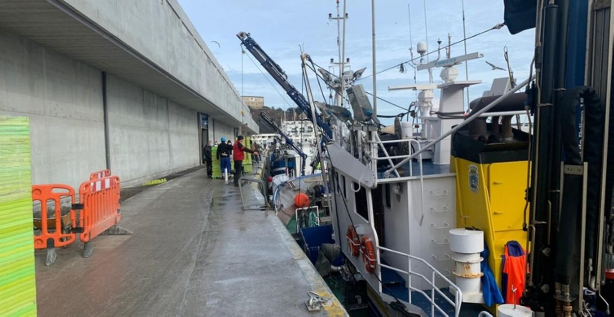 Barcos de bajura han comenzado a utilizar la lonja.