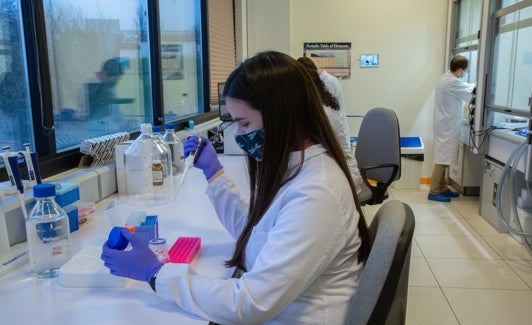 Investigadores de Biotech Foods en la sede de Miramón. 