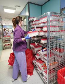 Imagen secundaria 2 - Coronavirus en Gipuzkoa: El 5% de los positivos en covid detectados en Gipuzkoa corresponden ya a la variante británica