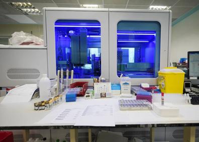 Imagen secundaria 1 - Coronavirus en Gipuzkoa: El 5% de los positivos en covid detectados en Gipuzkoa corresponden ya a la variante británica