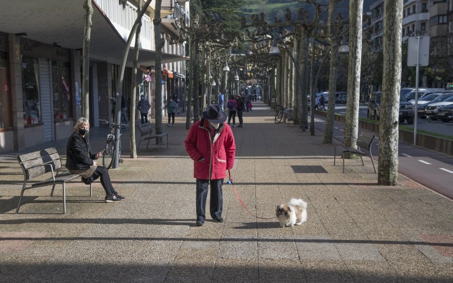 El calendario marca que es domingo de carnaval pero en las calles de la villa papelera parece un domingo más de la época Covid. Apenas en algunas terrazas de bares se ha podido ver a gente disfrazada o con un alguna peluca que diera «color» a la cita entre amigos o familiares. 