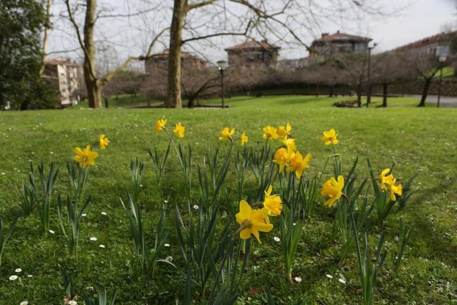 Zonas verdes de Irun. 