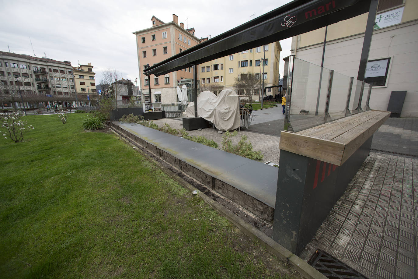 Un árbol de grandes dimensiones se ha caído en la plazoleta del Junkal de Irun. 