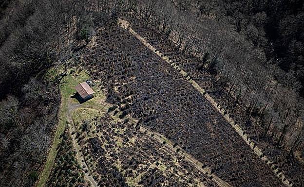 Imágenes aéreas del incendio de Bera. 