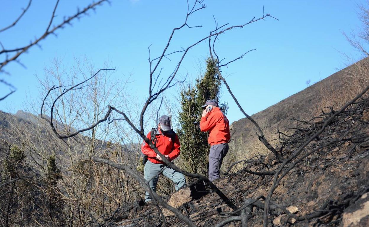 «Parece que la actividad humana está detrás del incendio, que tiene dos focos definidos»