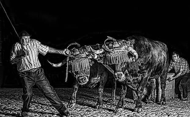 Imagen principal - Retrato de los herri kirolak