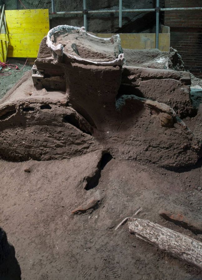 El parque arqueológico de Pompeya ha anunciado el descubrimiento de un gran carro para ceremonias, encontrado en excelente estado, a sólo unos cientos de metros al norte del famoso sitio cultural italiano.